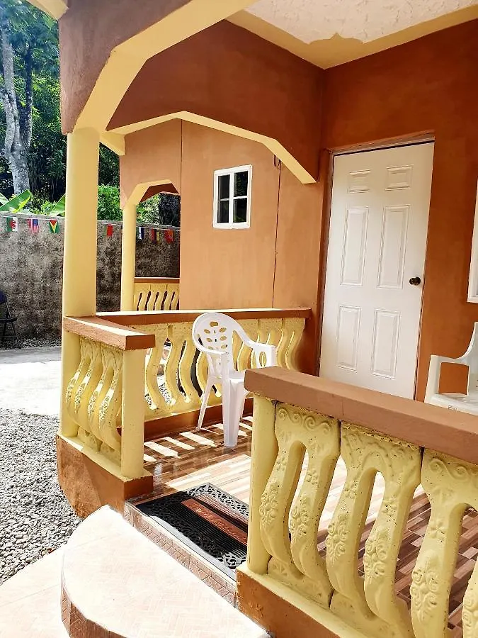 Frühstückspension Mesmerize Guest House Port Antonio